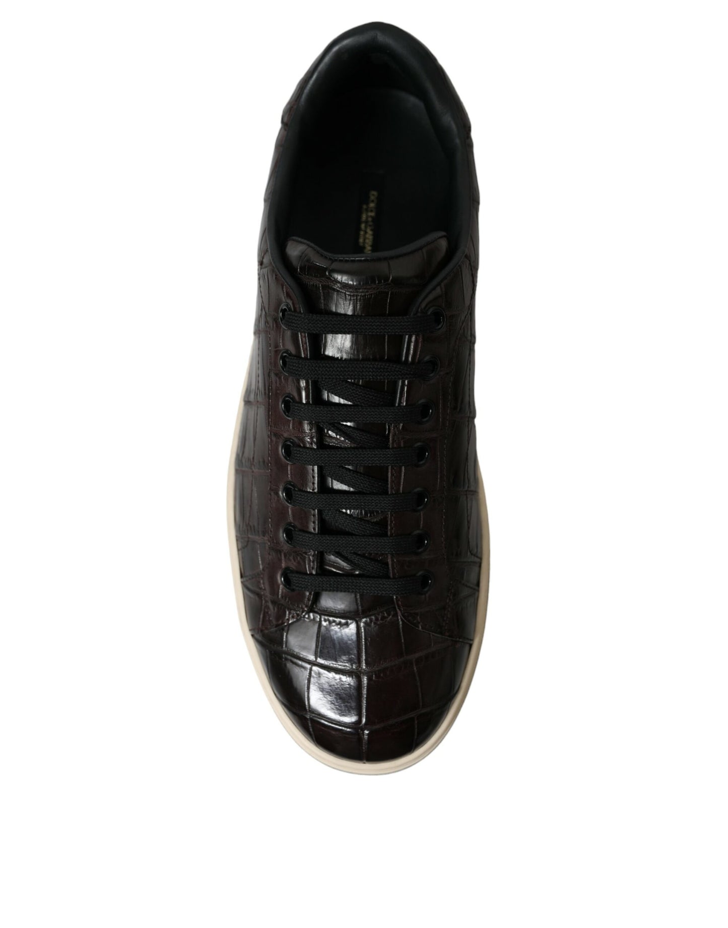 Dolce & Gabbana Brown Crocodile Exotic Leather Men's Casual Sneakers