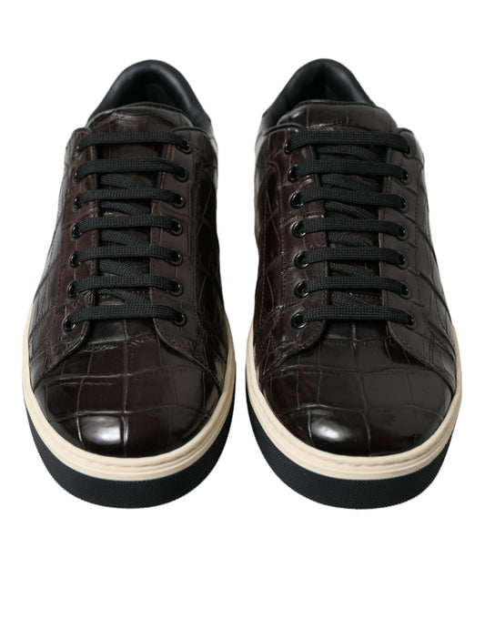 Dolce &amp; Gabbana Brown Crocodile Exotic Leather Men's Casual Sneakers