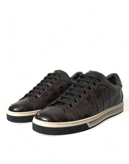 Dolce &amp; Gabbana Brown Crocodile Exotic Leather Men's Casual Sneakers