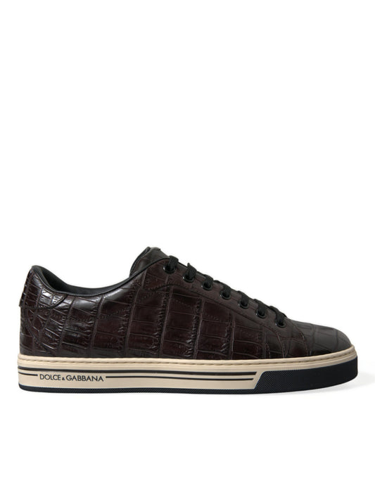 Dolce &amp; Gabbana Brown Crocodile Exotic Leather Men's Casual Sneakers