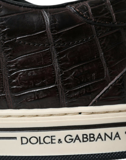 Dolce &amp; Gabbana Brown Crocodile Exotic Leather Men's Casual Sneakers