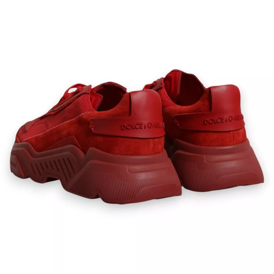 Dolce &amp; Gabbana Red Leather Daymaster Low-Top Sneakers
