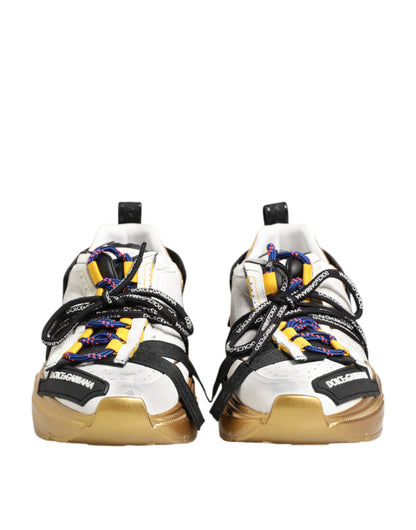 Dolce &amp; Gabbana Multicolor Daymaster Low-Top Sneakers