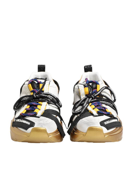 Dolce &amp; Gabbana Multicolor Daymaster Low-Top Sneakers